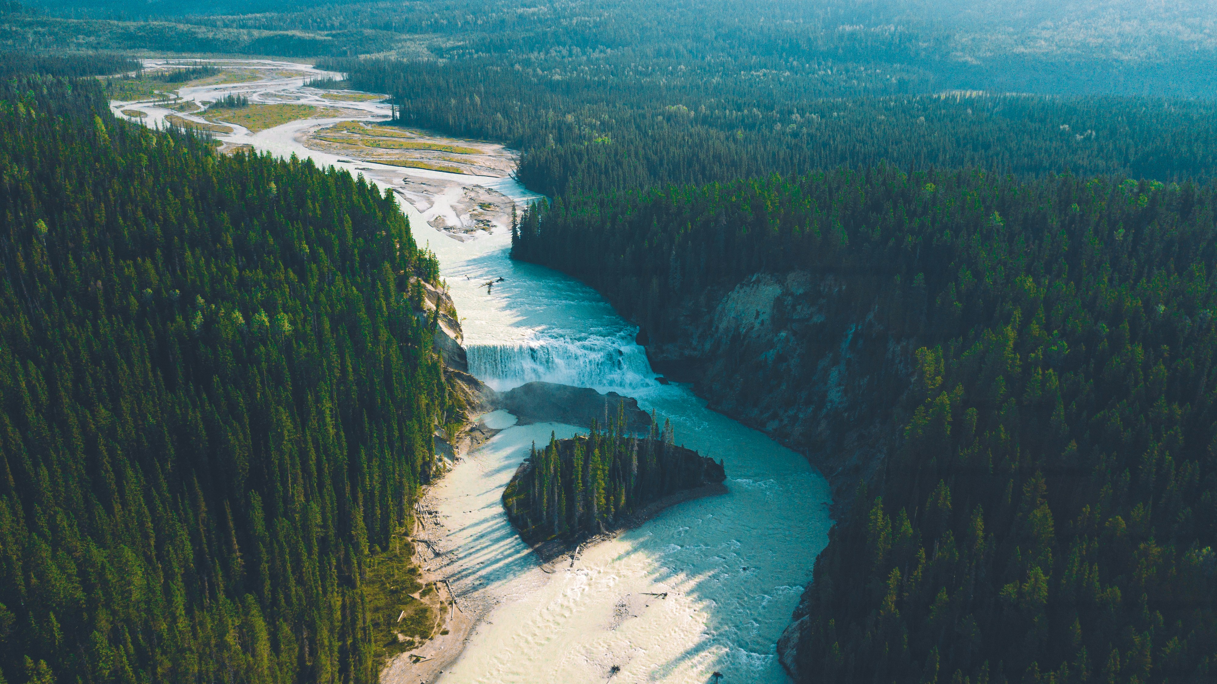 aerial view of green trees near body of water during daytime